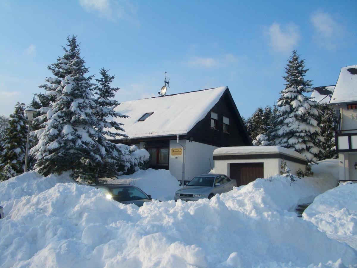 Haus Hannelore * Willingen (Upland)